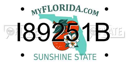 I89251B Florida License Plate