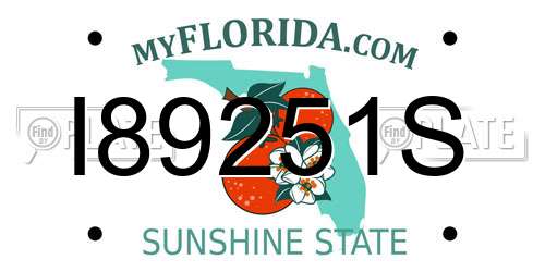 I89251S Florida License Plate