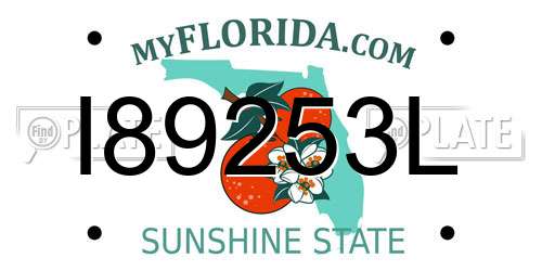 I89253L Florida License Plate
