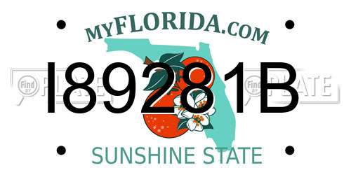 I89281B Florida License Plate