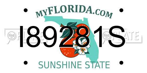 I89281S Florida License Plate