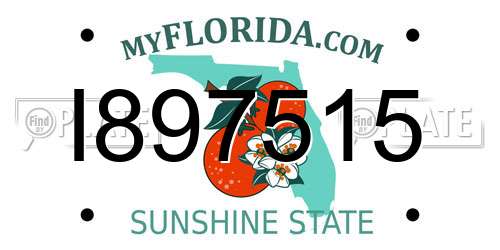 I897515 Florida License Plate