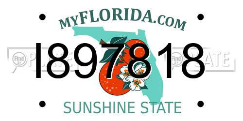 I897818 Florida License Plate