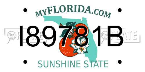 I89781B Florida License Plate