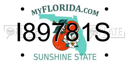 I89781S Florida License Plate