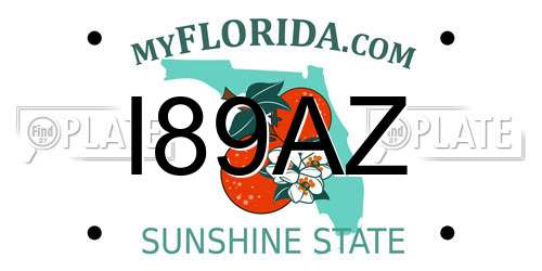 I89AZ Florida License Plate