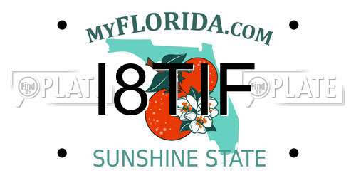 I8TIF Florida License Plate