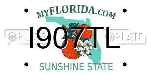 I907TL Florida License Plate