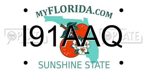 I91AAQ Florida License Plate