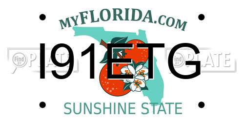 I91ETG Florida License Plate