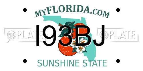 I93BJ Florida License Plate