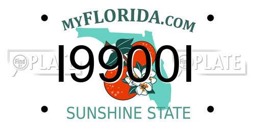 I9900I Florida License Plate
