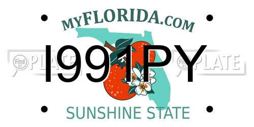 I991PY Florida License Plate