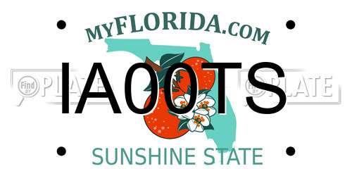 IA00TS Florida License Plate