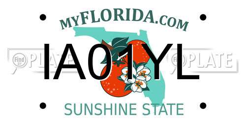 IA01YL Florida License Plate