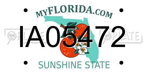 IA05472 Florida License Plate
