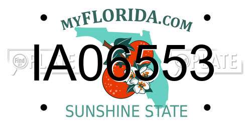 IA06553 Florida License Plate
