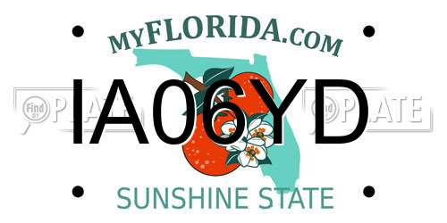 IA06YD Florida License Plate