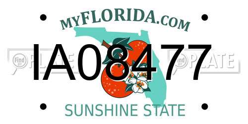 IA08477 Florida License Plate