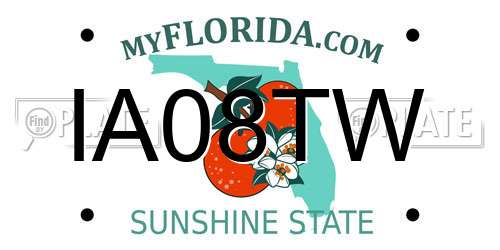 IA08TW Florida License Plate