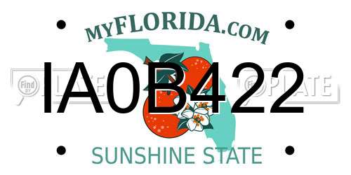 IA0B422 Florida License Plate