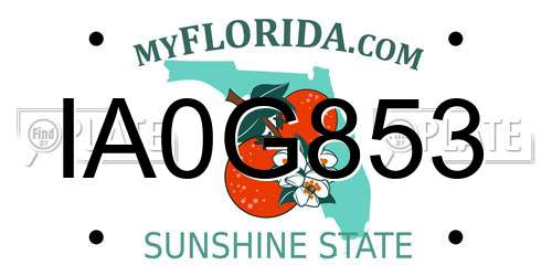 IA0G853 Florida License Plate