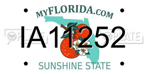 IA11252 Florida License Plate