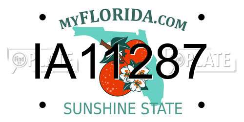IA11287 Florida License Plate