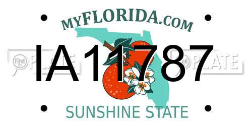 IA11787 Florida License Plate