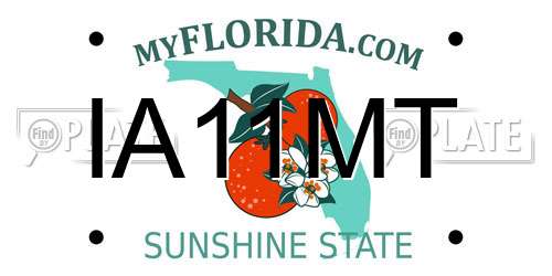 IA11MT Florida License Plate