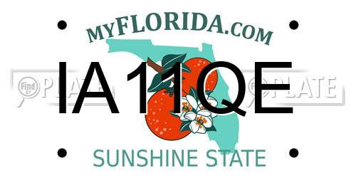 IA11QE Florida License Plate