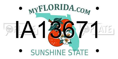 IA13671 Florida License Plate