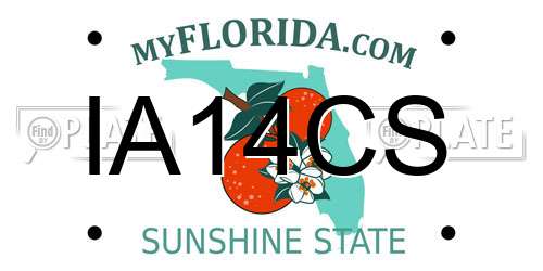 IA14CS Florida License Plate