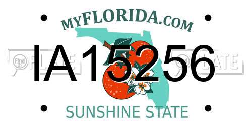 IA15256 Florida License Plate