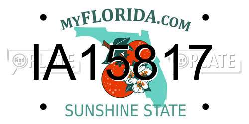 IA15817 Florida License Plate