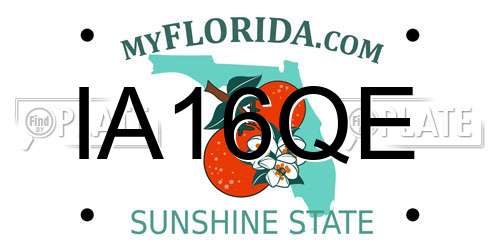 IA16QE Florida License Plate