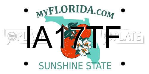 IA17TF Florida License Plate