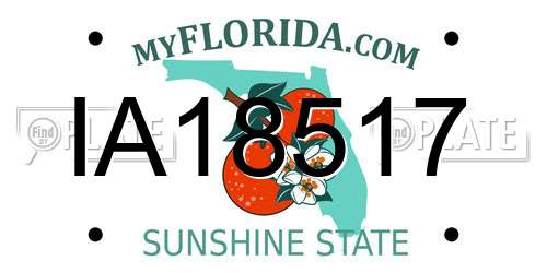 IA18517 Florida License Plate