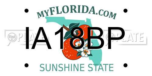 IA18BP Florida License Plate