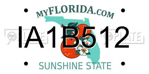 IA1B512 Florida License Plate