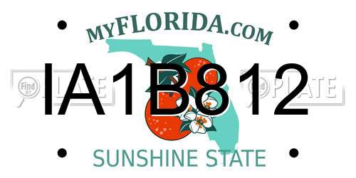 IA1B812 Florida License Plate