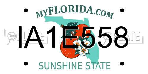 IA1E558 Florida License Plate