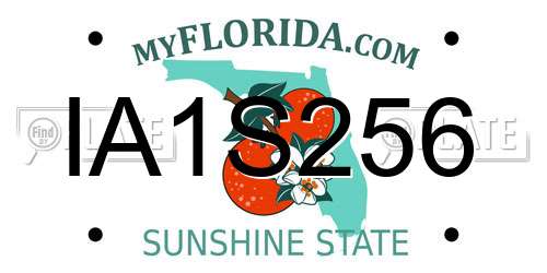 IA1S256 Florida License Plate