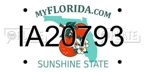 IA20793 Florida License Plate
