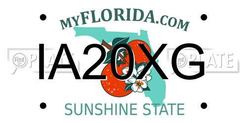 IA20XG Florida License Plate