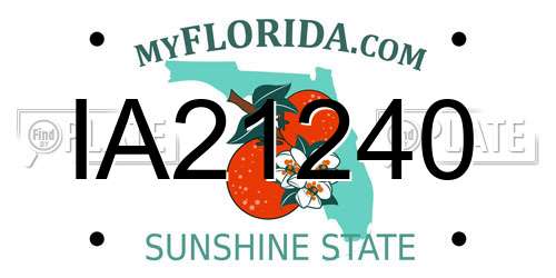 IA21240 Florida License Plate