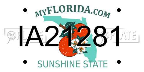 IA21281 Florida License Plate