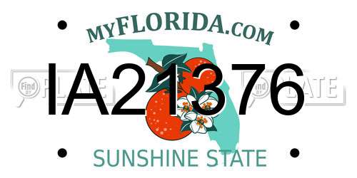 IA21376 Florida License Plate