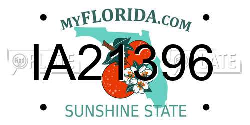IA21396 Florida License Plate