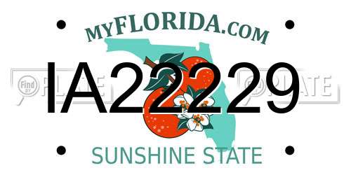 IA22229 Florida License Plate